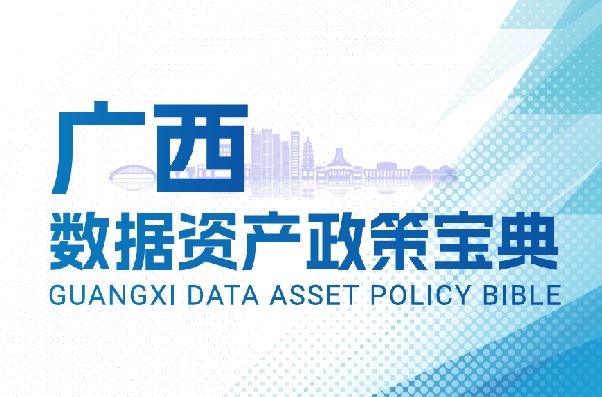 广西数据资产政策宝典