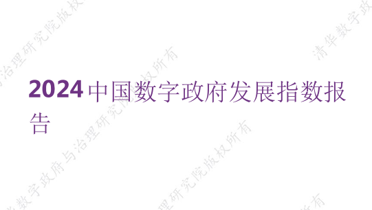 2024数字政府发展指数报告