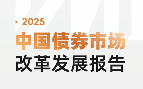 2025年中国债券市场发展报告