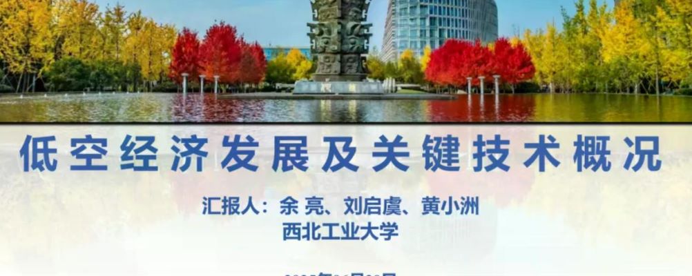 2025低空经济发展及关键技术概况报告