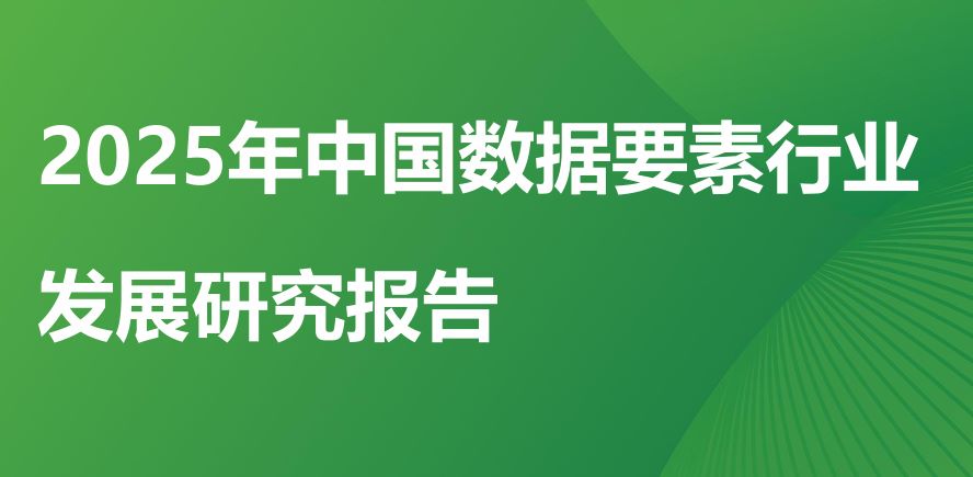 2025年中国数据要素行业发展研究报告