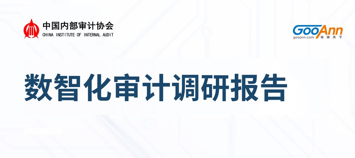 中国数智化审计调研报告