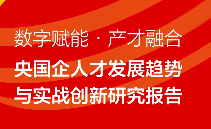 央国企人才发展趋势与实战创新研究报告