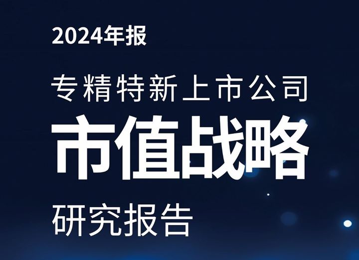 专精特新上市公司市值战略研究报告（2024年报）