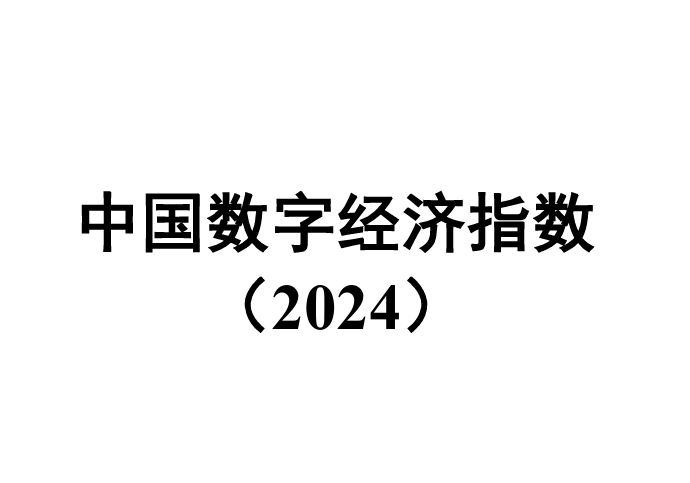 中国数字经济指数(2024)