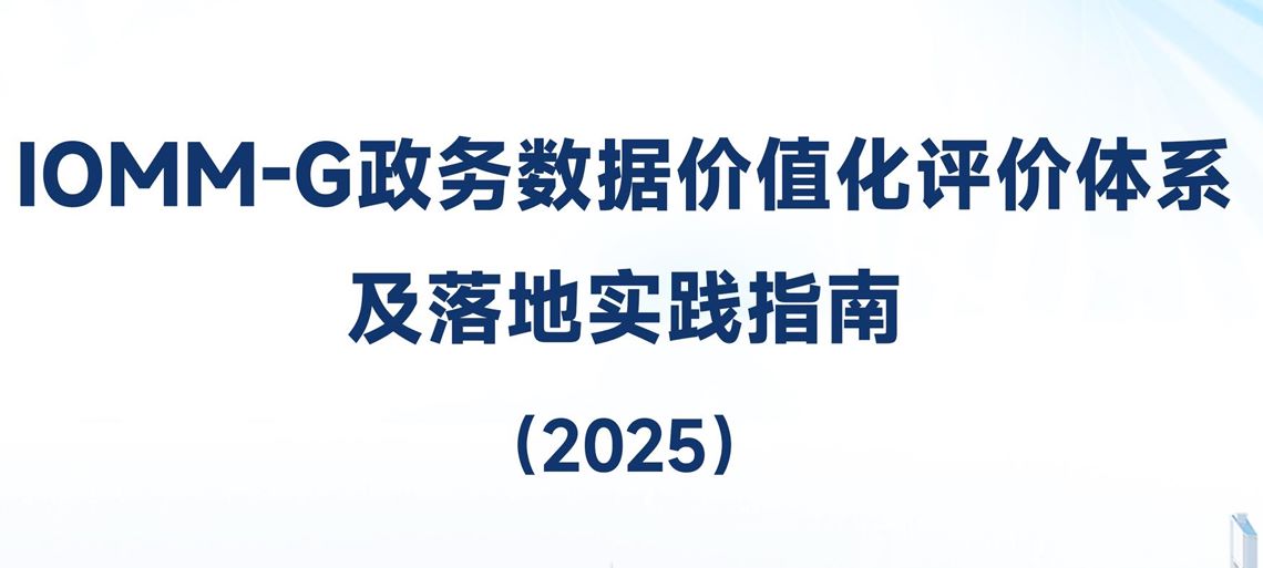政务数据价值化评价体系及落地实践指南（2025）