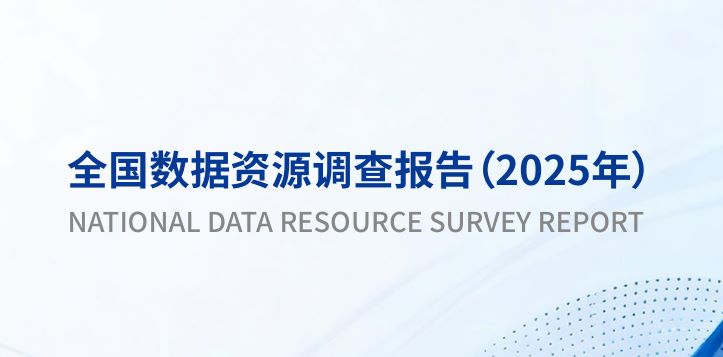 全国数据资源调查报告（2025年）
