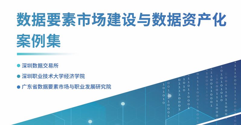 数据要素市场建设与数据资产化案例集
