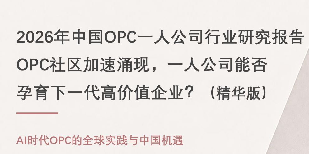 2026年中国OPC一人公司行业研究报告