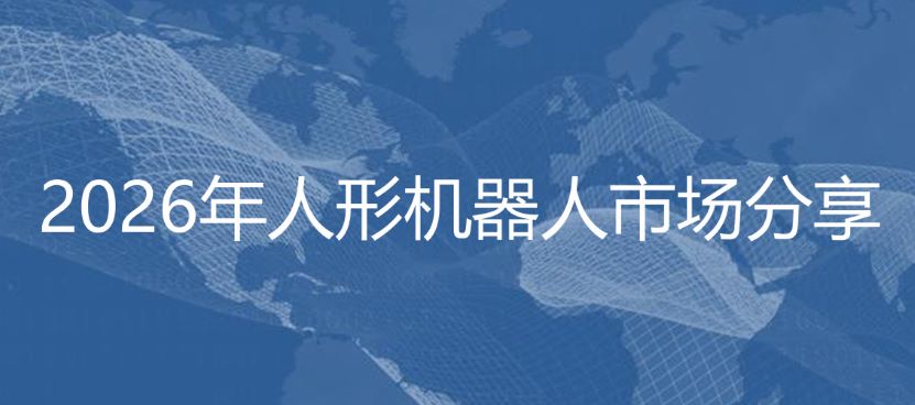 2026年人形机器人市场分享