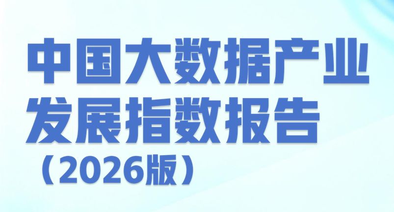 中国大数据产业发展指数报告（2026版）